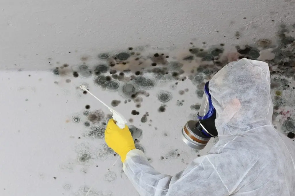 erie-co-mold-removal