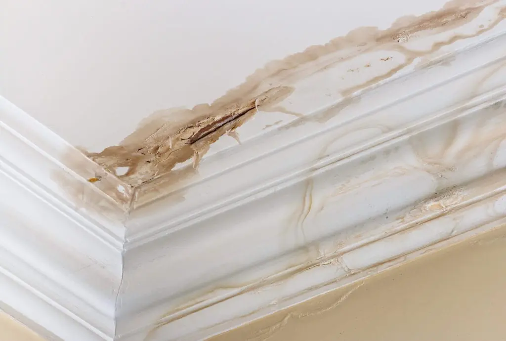 erie-co-mold-removal2