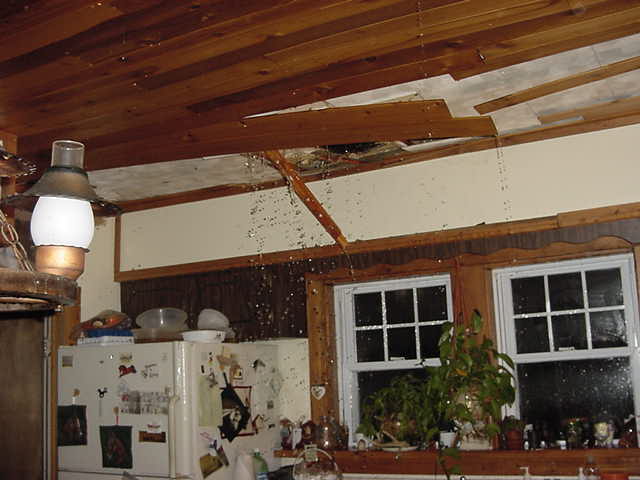 Longmont, Colorado Leaking Roof