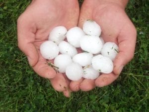 Colorado resident holding several pieces of large hail in his hands