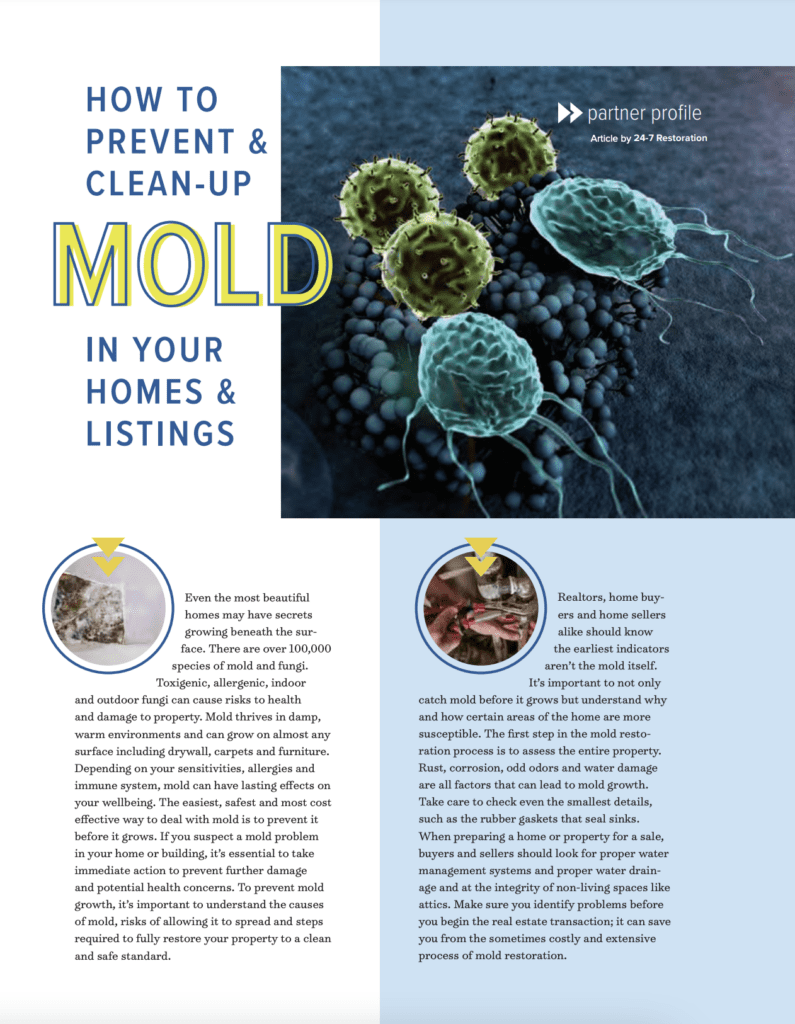 front cover of the How to Prevent & Clean-Up Mold guide
