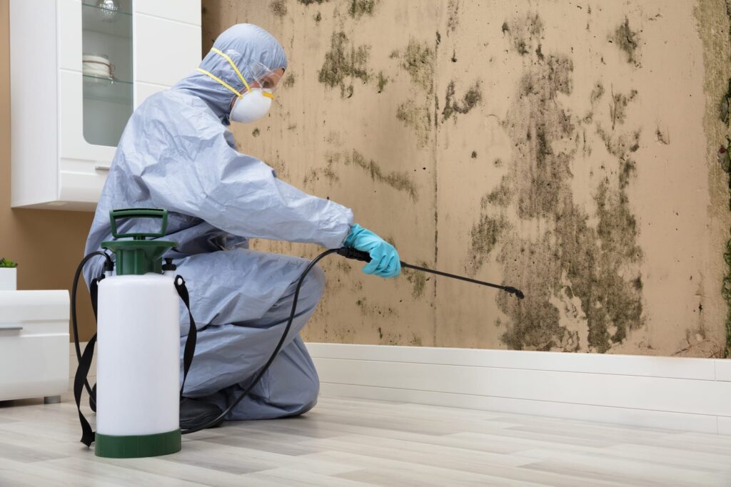 treating mold behind drywall