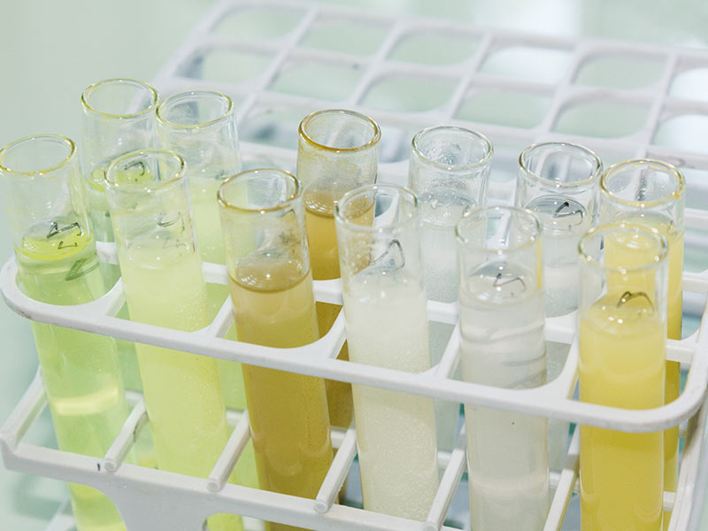 Close-up of test tubes containing asbestos samples preparations