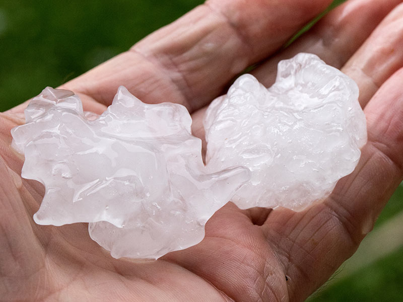 Hail stones held in hand after thunder storm