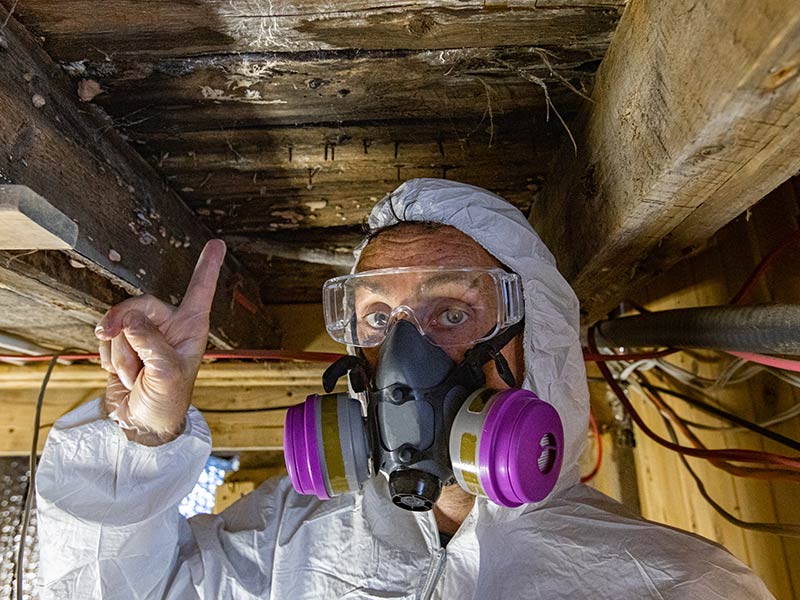 indoor home inspector points towards mold condemned wood