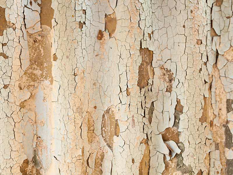 The texture of an old house roof in a village with brown asbestos exposed