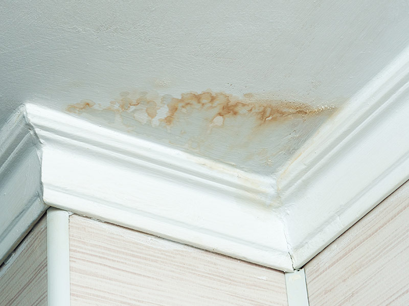 Neighbors have a water leak, water-damaged ceiling, close-up of a stain on the ceiling