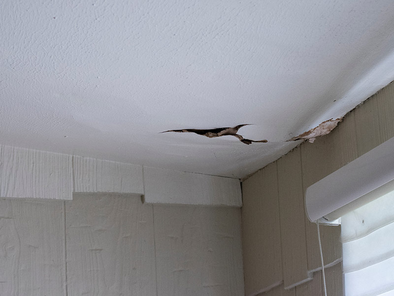 Water Damaged Crack in Ceiling