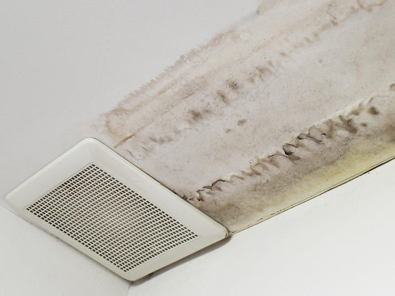 Excessive moisture can cause mold and peeling paint wall ,such as rainwater leaks or water leaks.