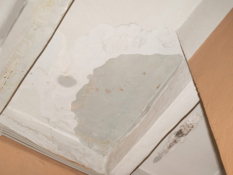 Flooding rainwater, causing damage, peeling paint and mildew.