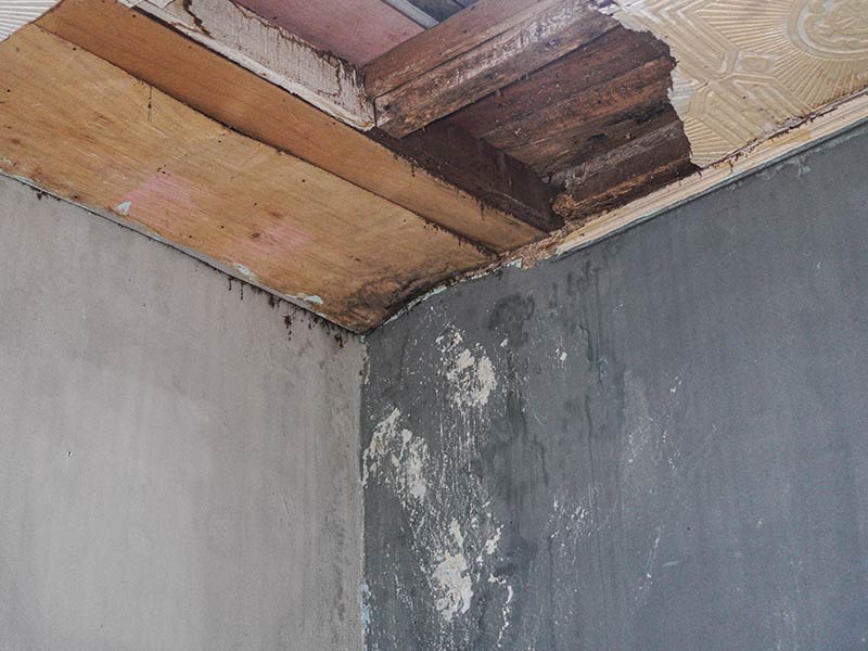 damaged corner of a ceiling with water damage, needing urgent repair.