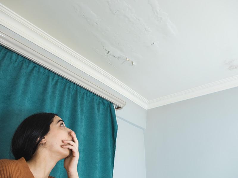 home owner discovers water damage after noticing damp smell