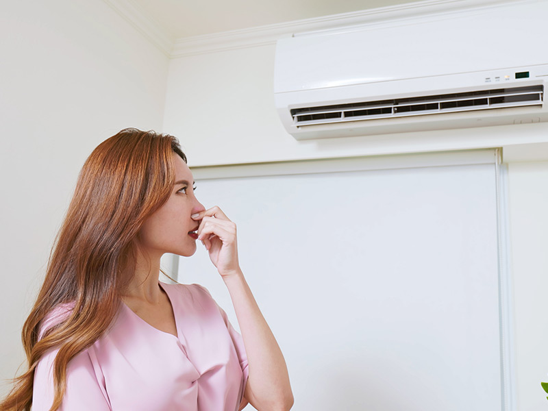 home owner smells damp odor near ceiling