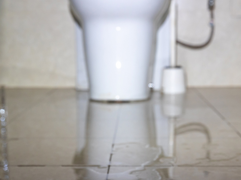 Water damage due an overflowing toilet