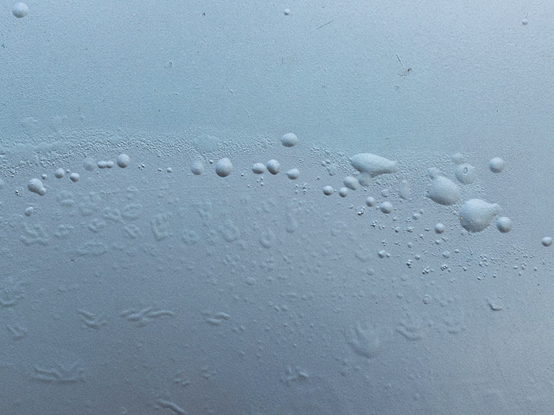 paint blisters on room wall