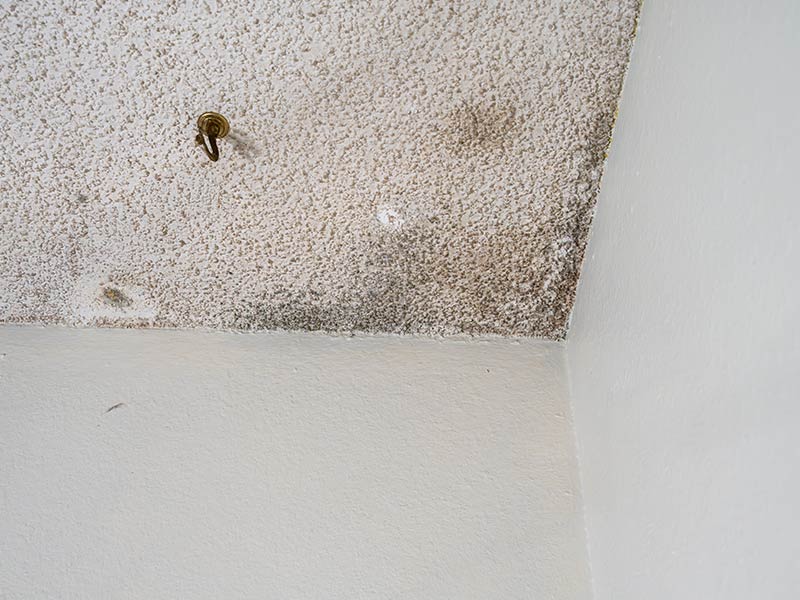 bedroom popcorn asbestos ceiling with mold and water stains