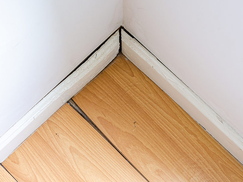 wooden floor in the room with floor and baseboards damaged by destructive water.
