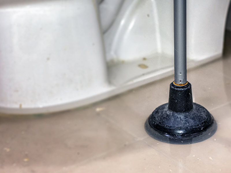 Dirty Plunger Soaked in a Pool of Overflown Toilet Water