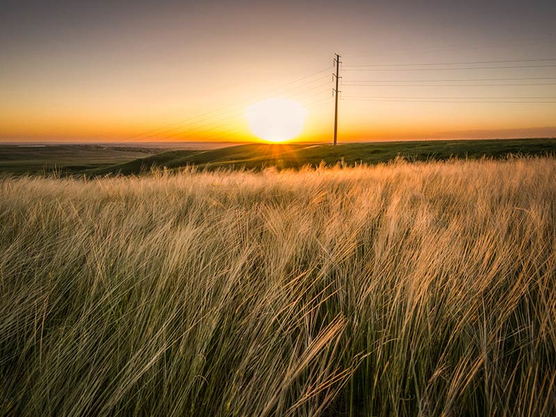 sunrise in louisville co