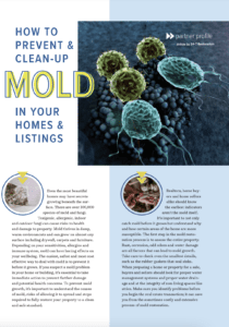 free remove mold guide